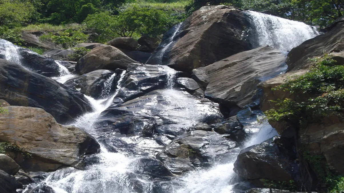 Feature Image