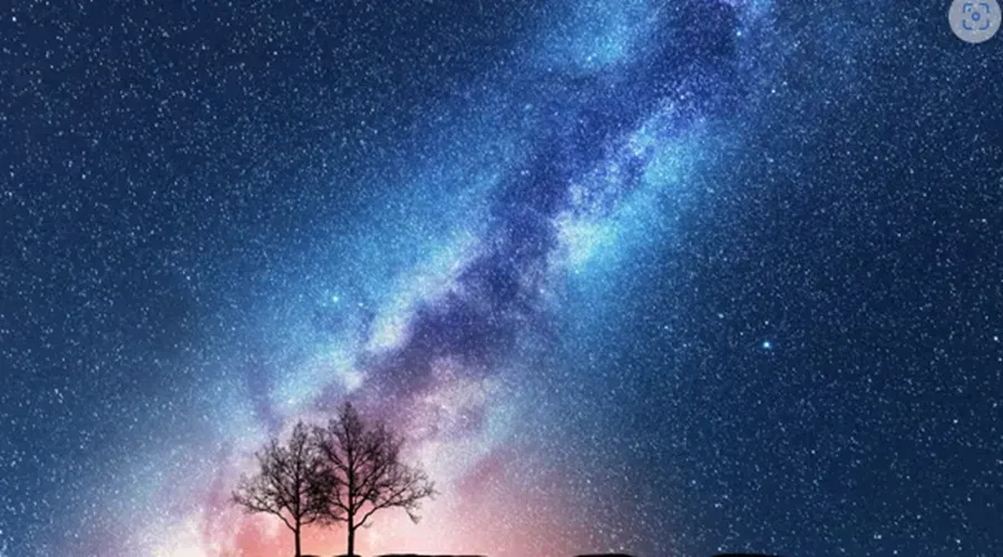 Feature Image