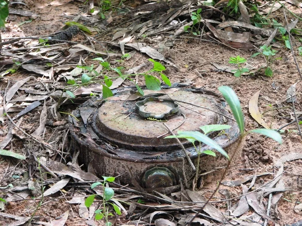 Feature Image