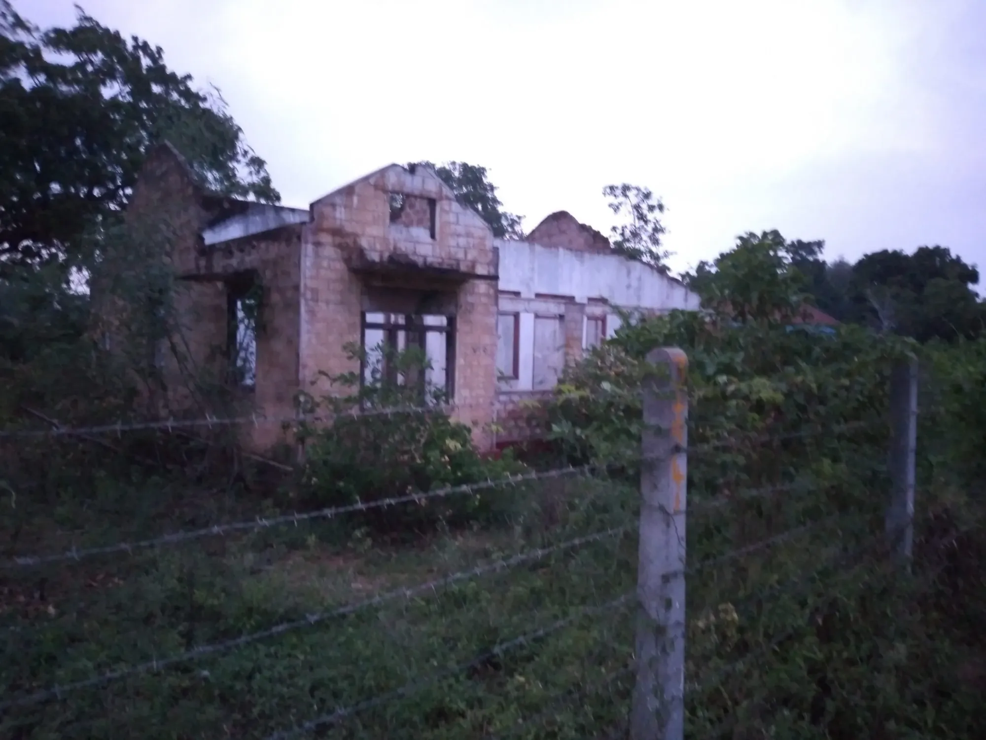 Feature Image