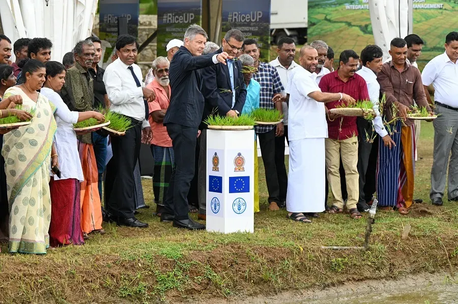 Feature Image
