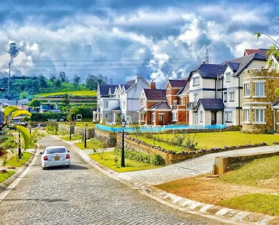 Feature Image