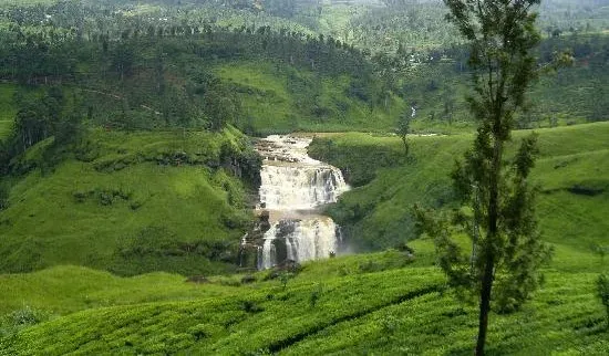 Feature Image