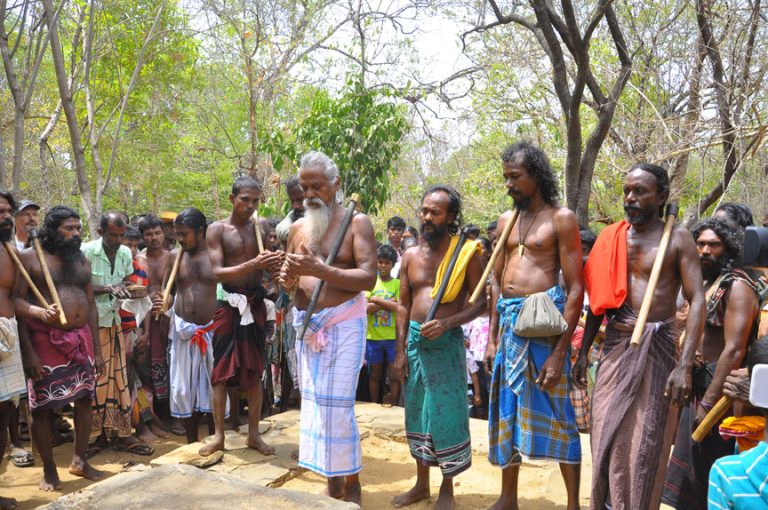 Genetic link found between Sri Lankan tribe and Indians | Colombo Gazette